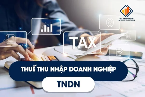Thuế Thu Nhập Doanh Nghiệp (TNDN) Là Gì? Những Điều Cần Biết