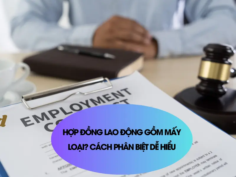 hop-dong-lao-dong-gom-may-loai-1